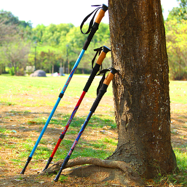 Single Carbon Fiber Walking Pole