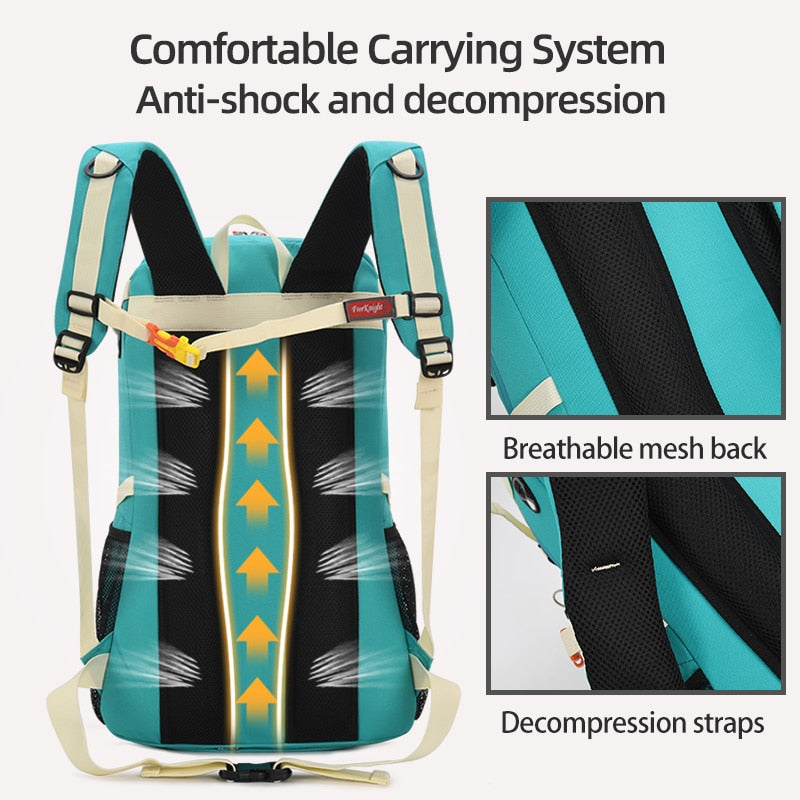 Day Pack 40L with Rain Cover