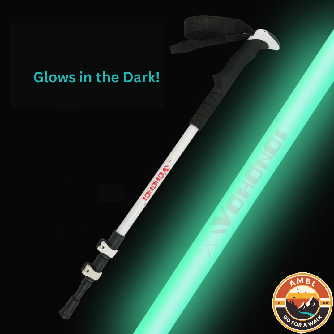 Single Glow in the Dark Walking Pole