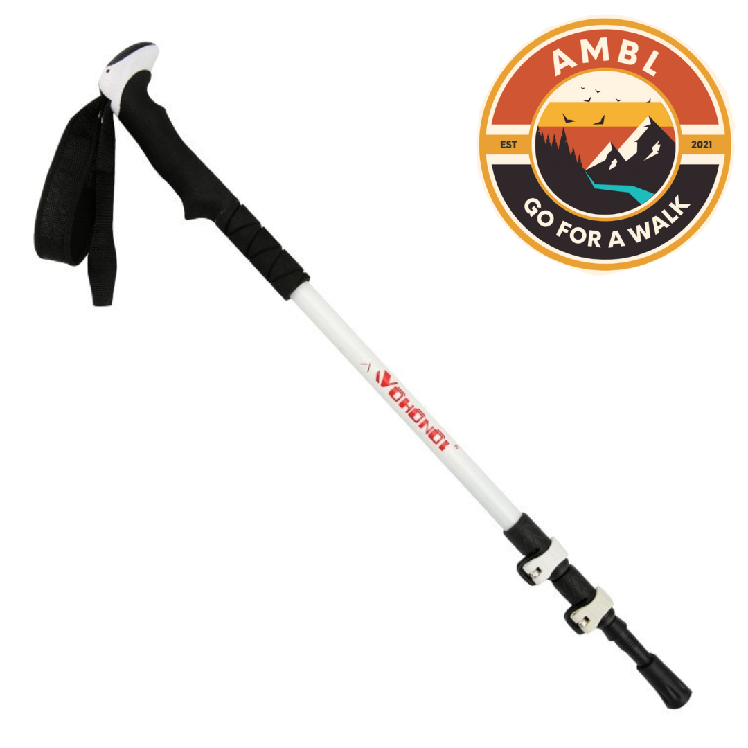 Single Glow in the Dark Walking Pole