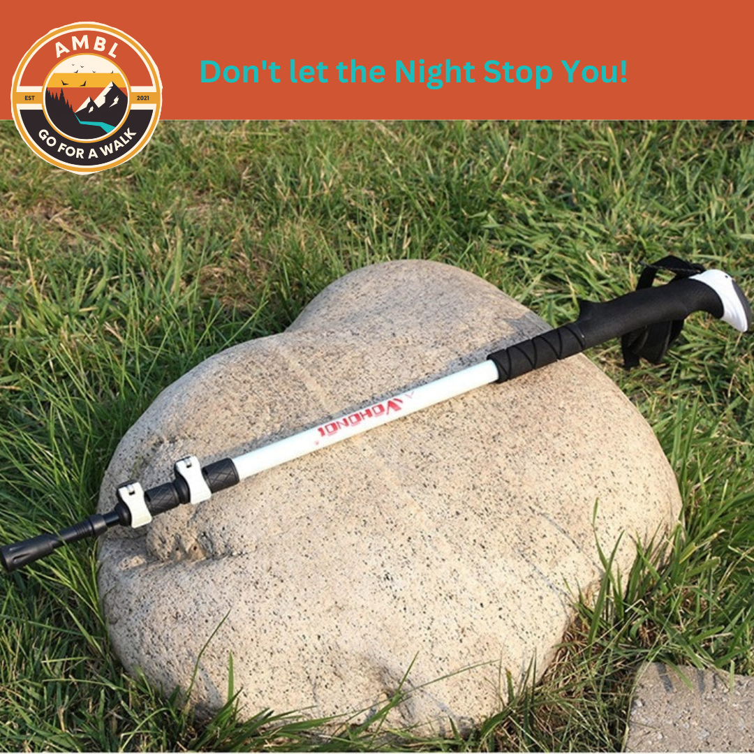 Single Glow in the Dark Walking Pole