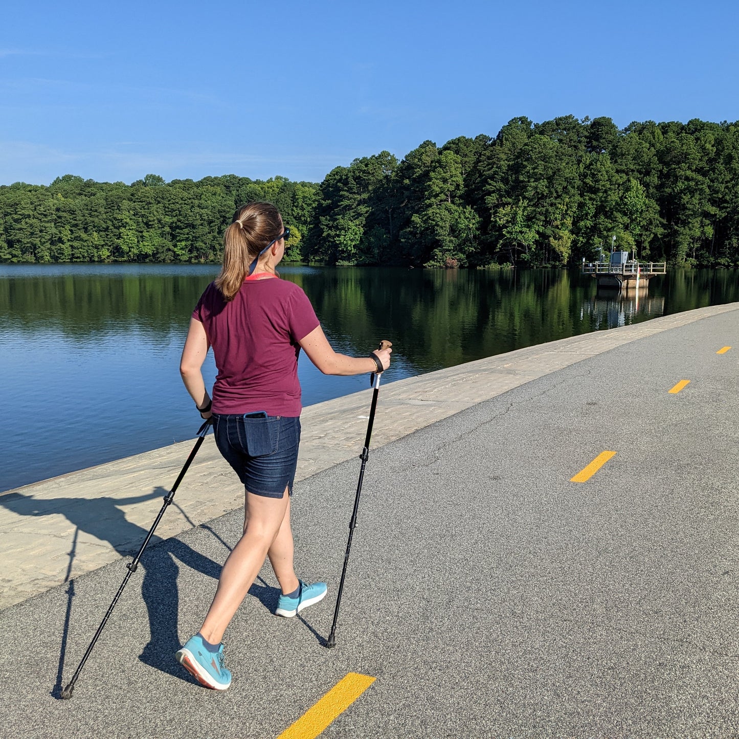 AMBL Set of Two Walking Poles