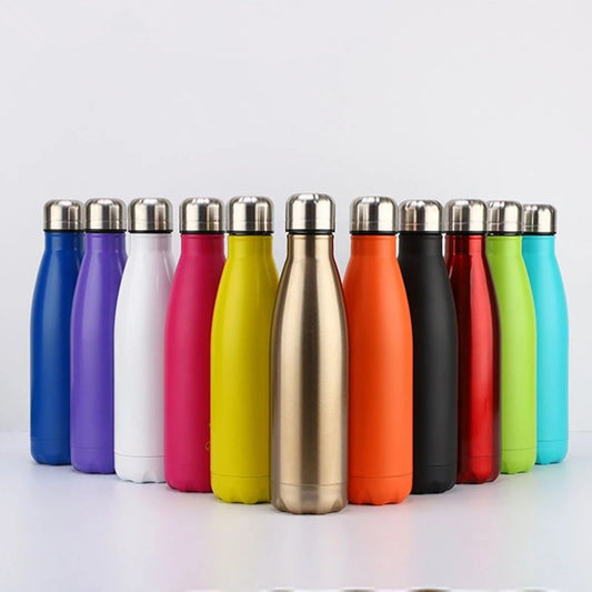 Insulated Steel Water Bottle