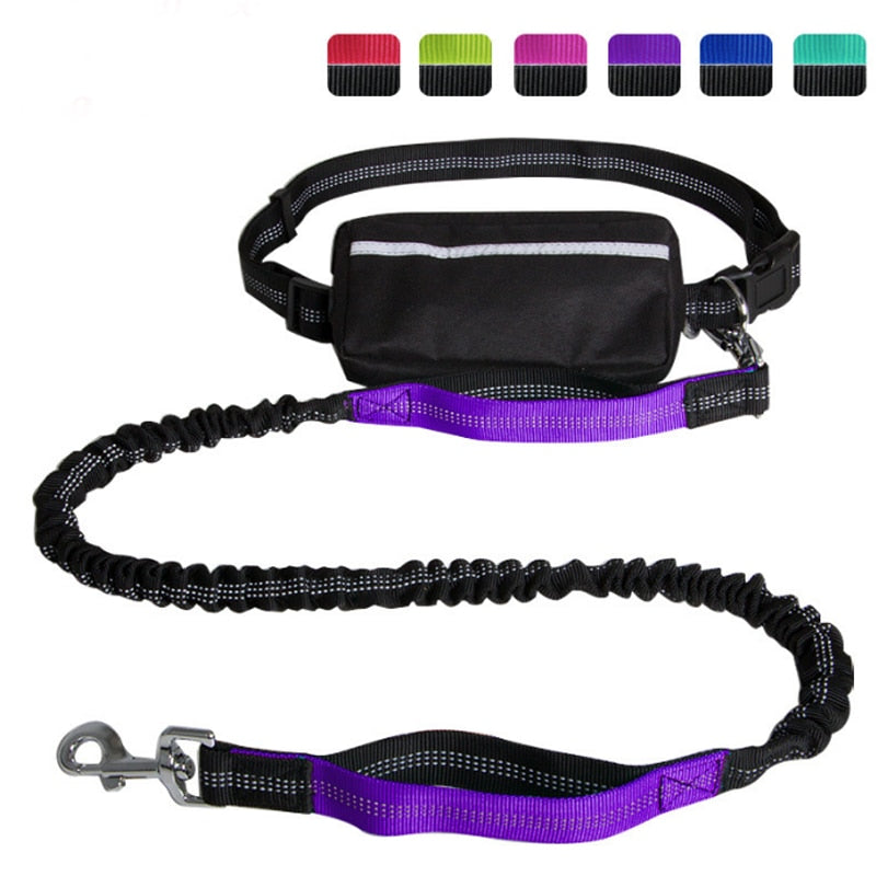 Dog leash outlet pouch