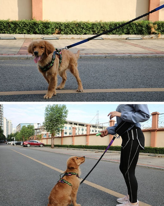 Hands Free Dog Leash with Zip Pouch