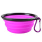 Foldable Silicone Pet Bowl