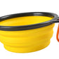 Foldable Silicone Pet Bowl